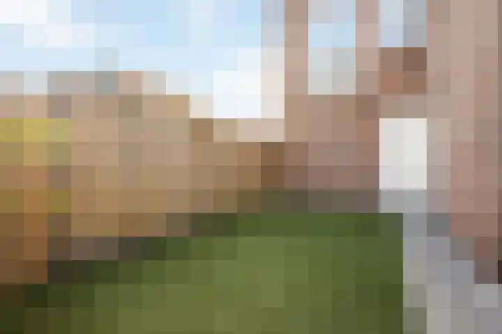 Goudmos 68 Nieuwerkerk aan den IJssel thumbnail 18