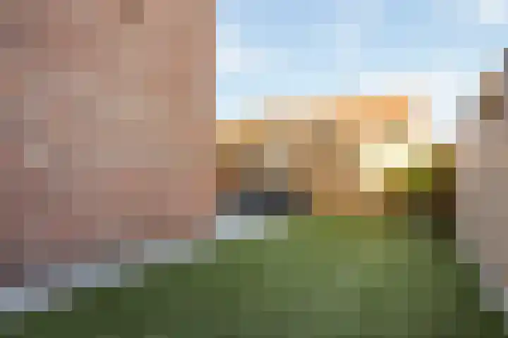 Goudmos 68 Nieuwerkerk aan den IJssel thumbnail 19