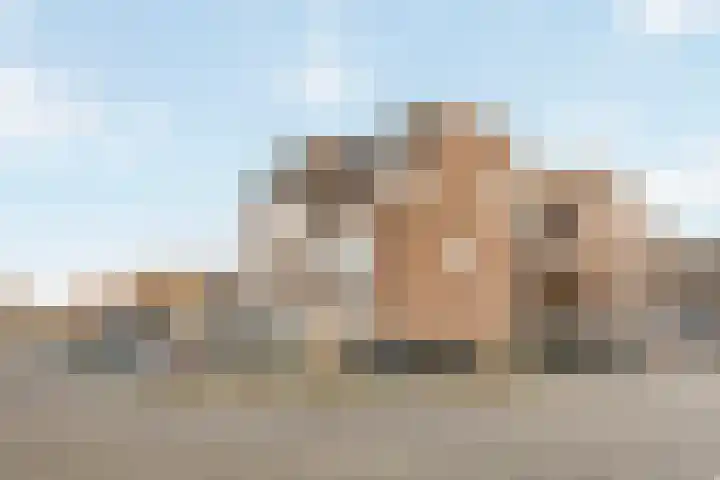 Goudmos 68 Nieuwerkerk aan den IJssel thumbnail 21