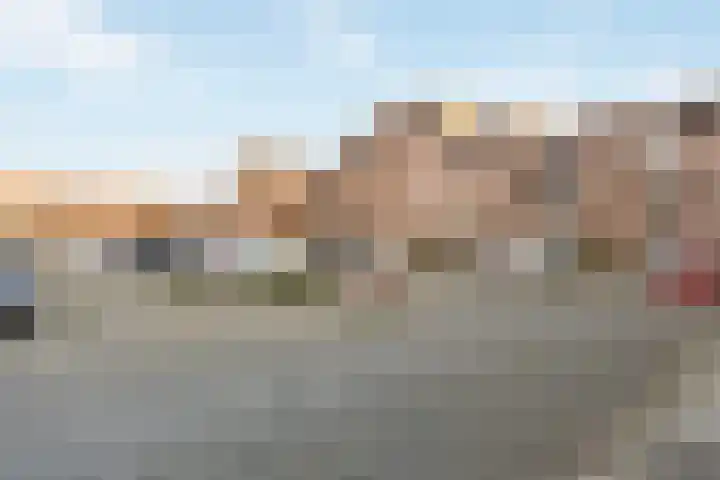 Goudmos 68 Nieuwerkerk aan den IJssel thumbnail 23