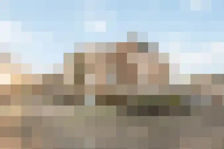 Goudmos 68 Nieuwerkerk aan den IJssel thumbnail 24