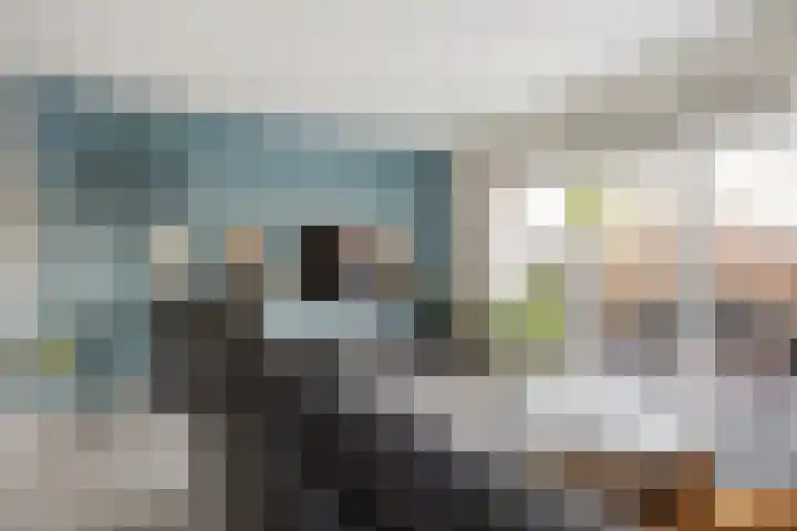 Goudmos 68 Nieuwerkerk aan den IJssel thumbnail 5
