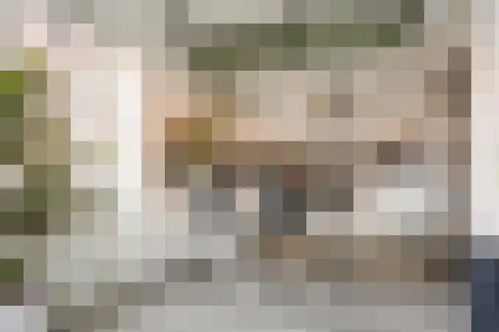 Goudmos 68 Nieuwerkerk aan den IJssel thumbnail 6