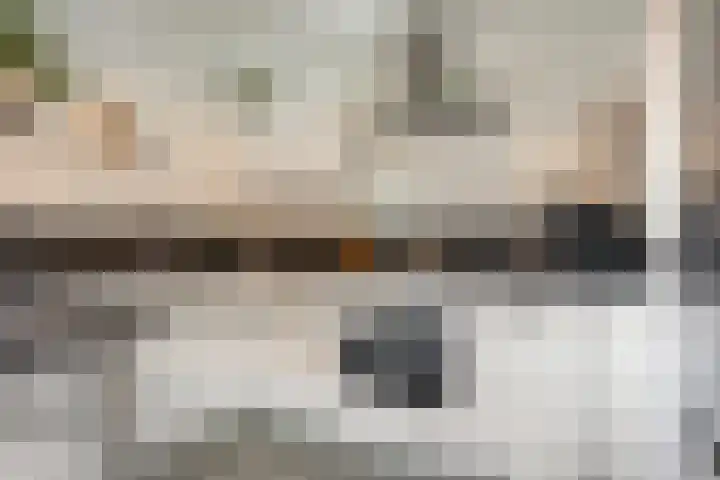 Goudmos 68 Nieuwerkerk aan den IJssel thumbnail 8
