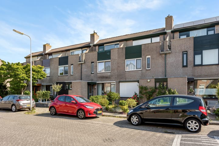 Goudmos 73 in Nieuwerkerk aan den IJssel Foto