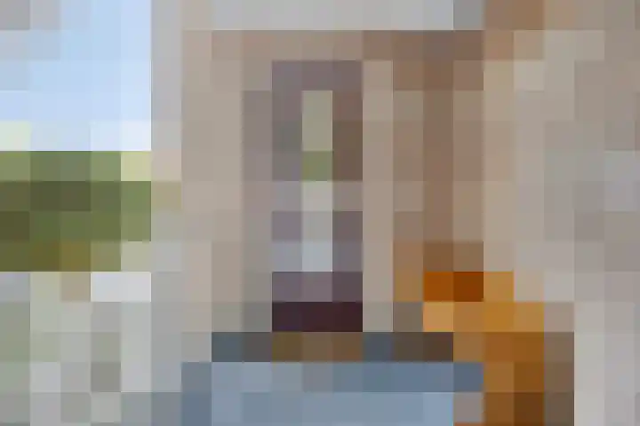 Goudmos 74 Nieuwerkerk aan den IJssel thumbnail 10