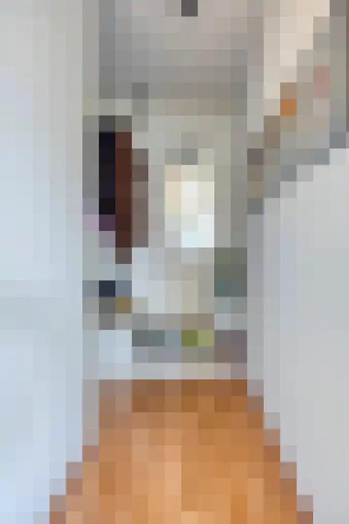 Goudmos 74 Nieuwerkerk aan den IJssel thumbnail 11