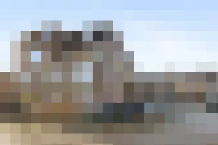 Goudmos 74 Nieuwerkerk aan den IJssel thumbnail 12