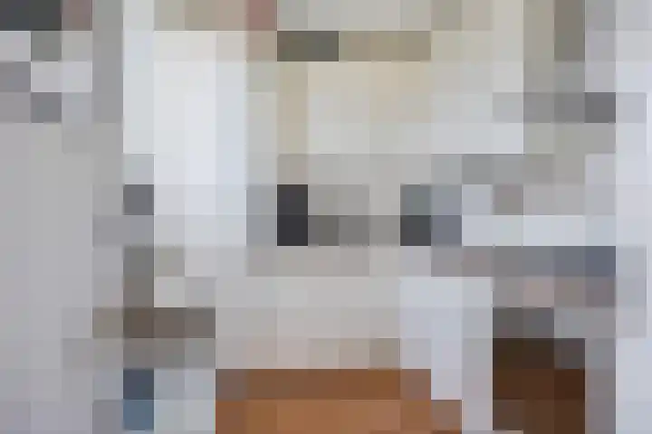 Goudmos 74 Nieuwerkerk aan den IJssel thumbnail 4