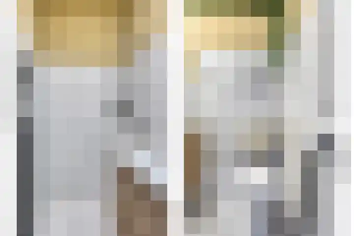 Goudmos 74 Nieuwerkerk aan den IJssel thumbnail 6