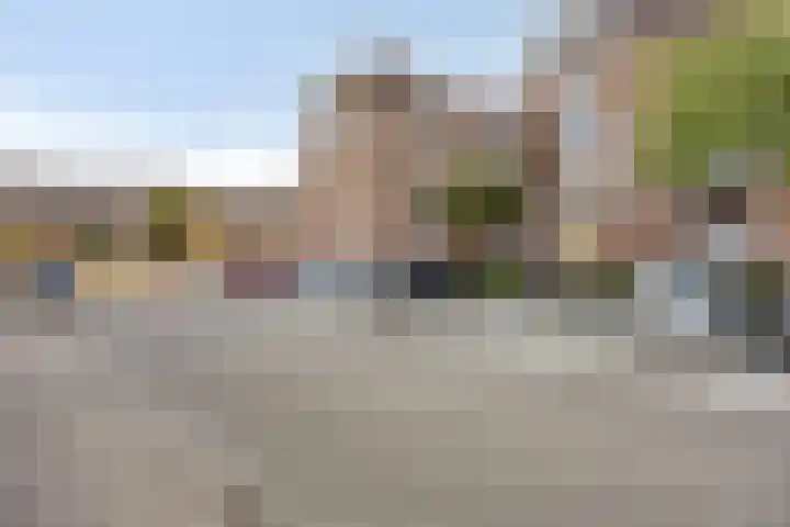 Goudmos 74 Nieuwerkerk aan den IJssel thumbnail 7