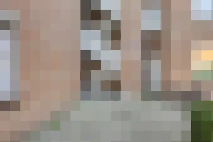 Goudmos 74 Nieuwerkerk aan den IJssel thumbnail 8