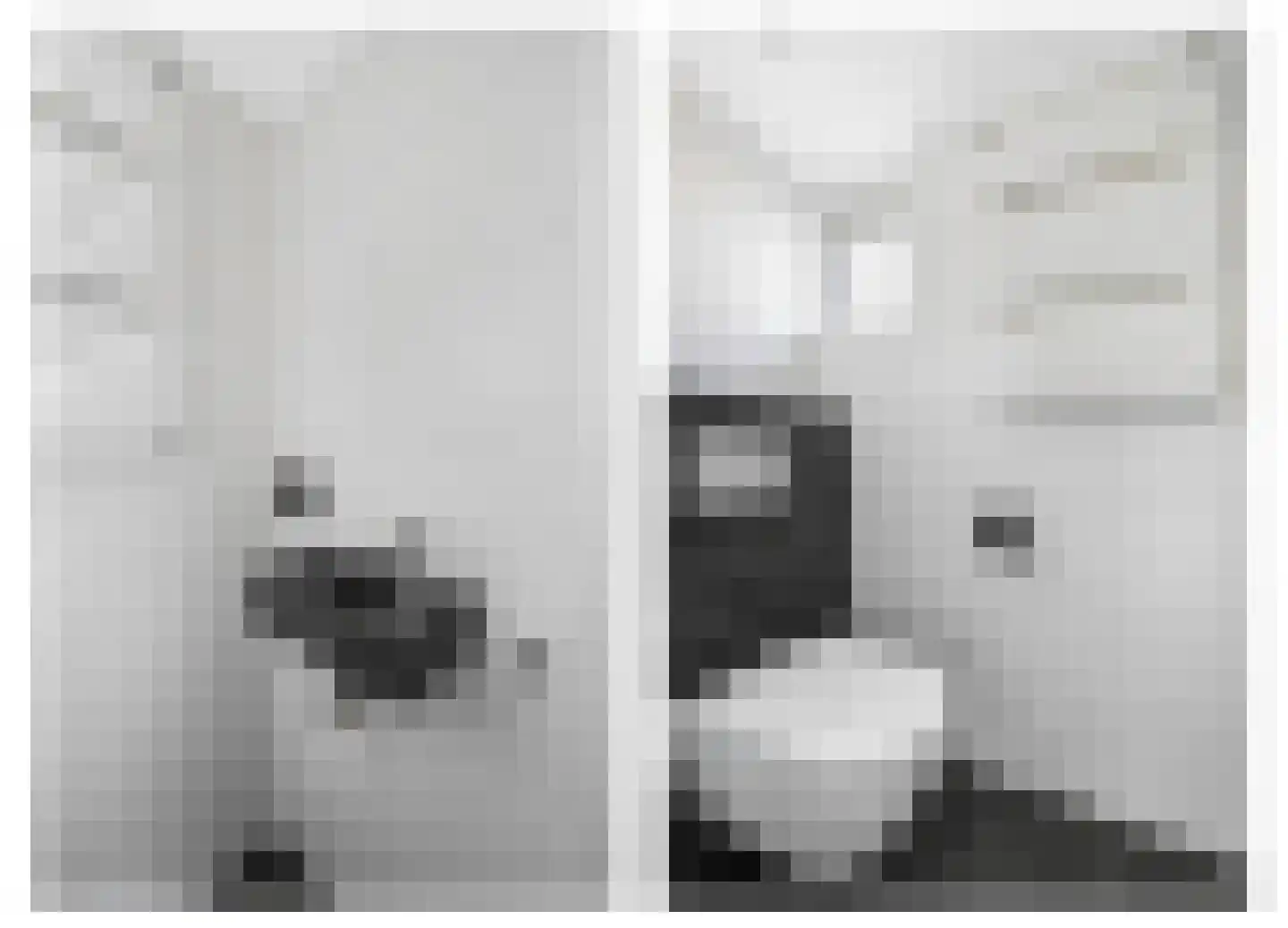 Goudmos 75 Nieuwerkerk aan den IJssel thumbnail 11
