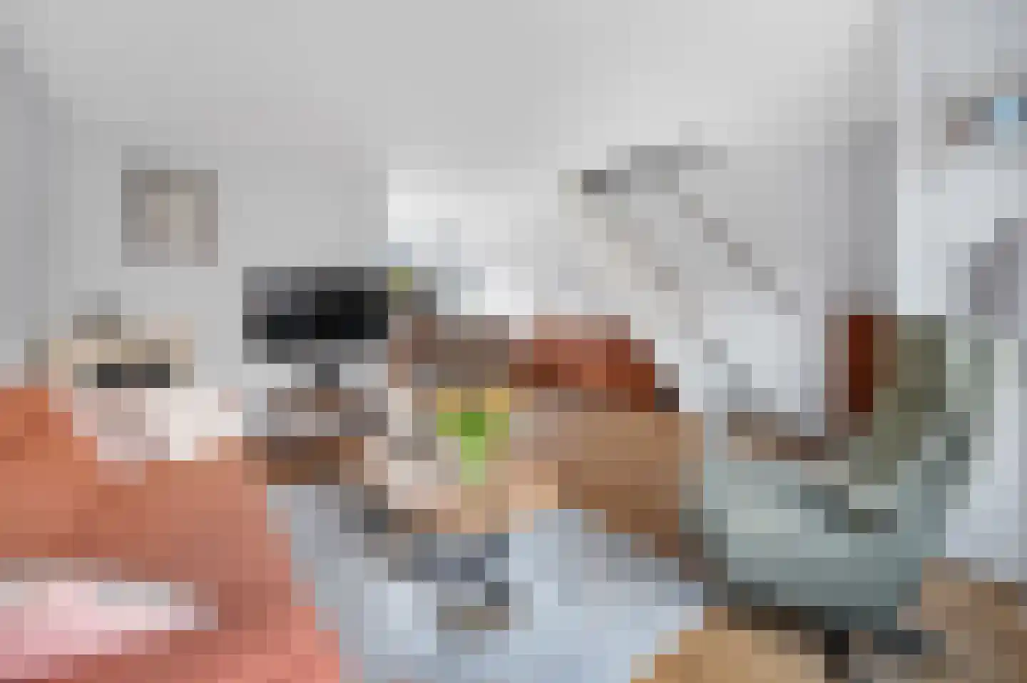 Goudmos 75 Nieuwerkerk aan den IJssel thumbnail 13