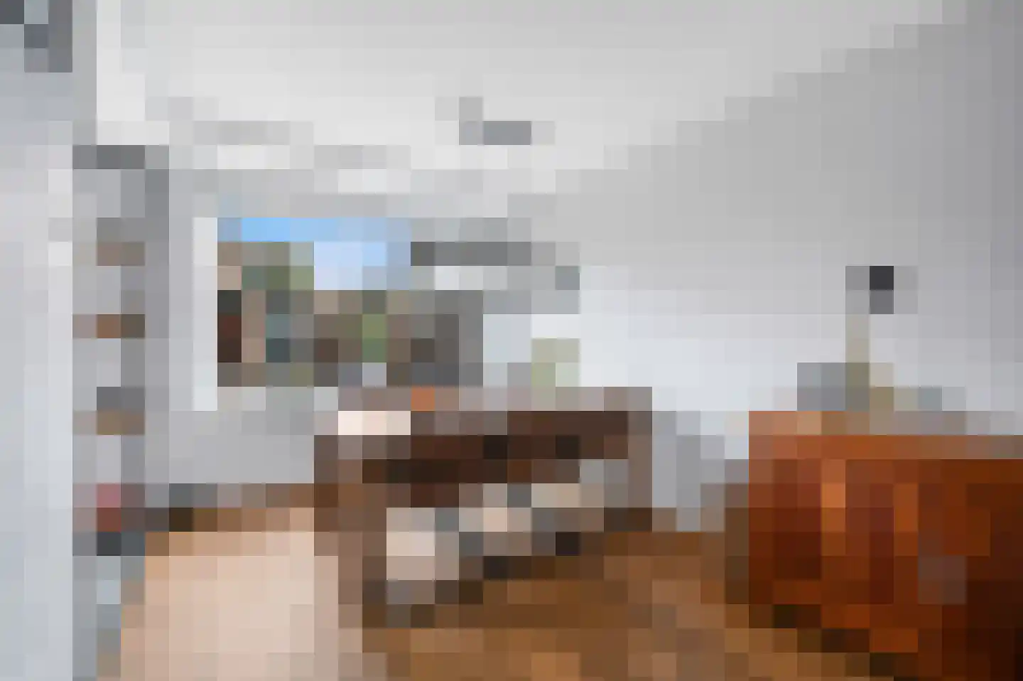 Goudmos 75 Nieuwerkerk aan den IJssel thumbnail 15