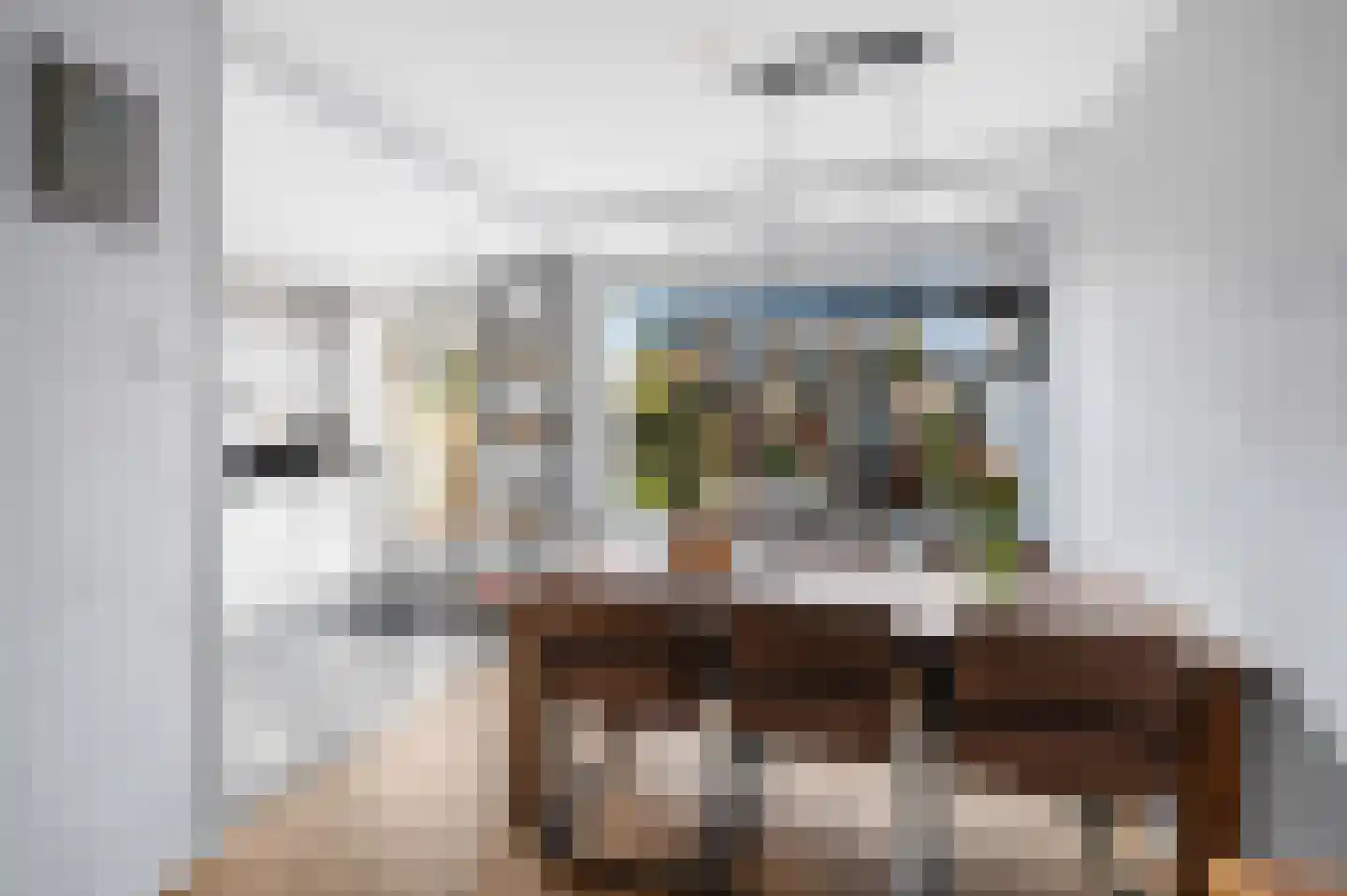 Goudmos 75 Nieuwerkerk aan den IJssel thumbnail 16