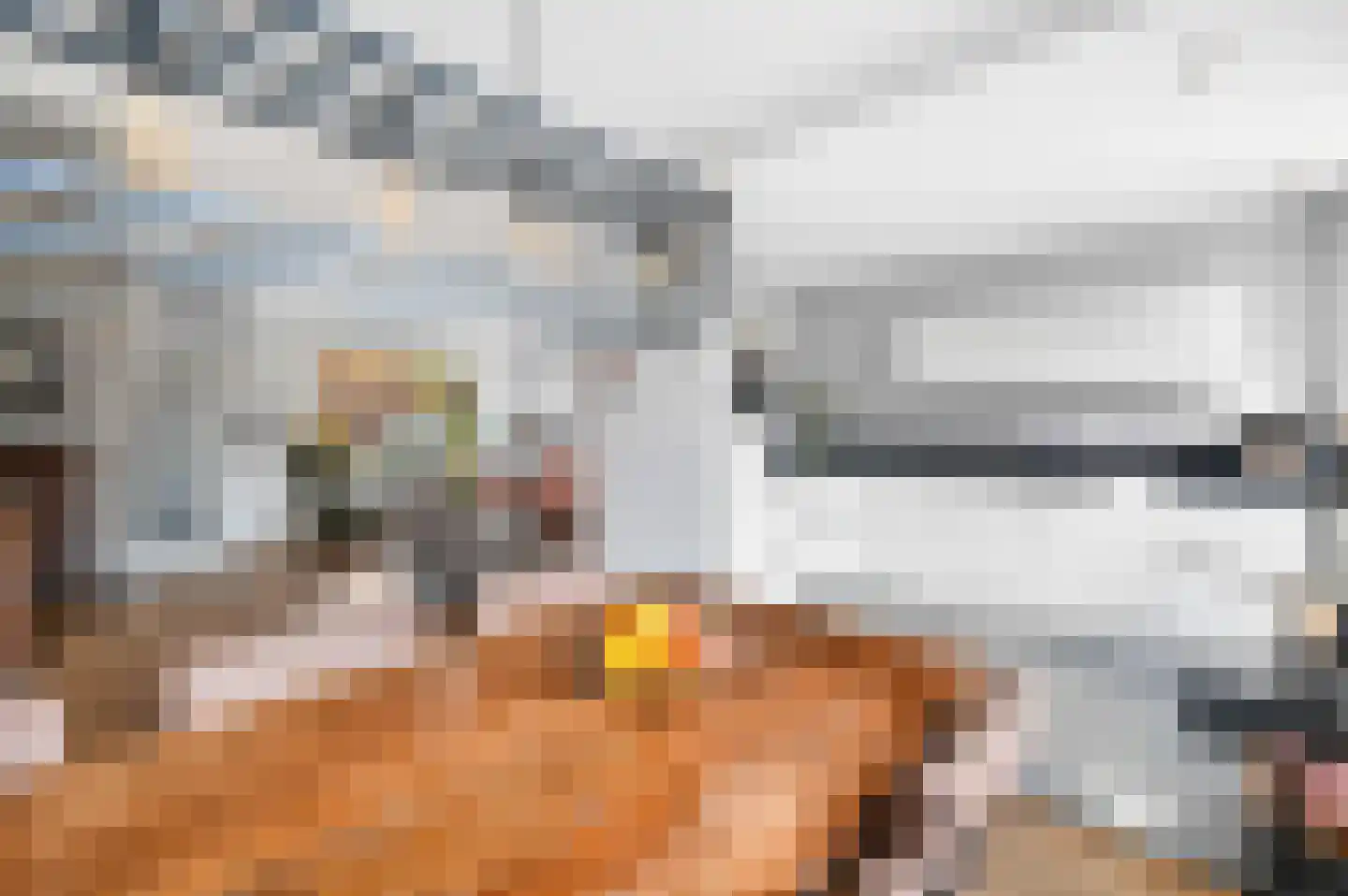 Goudmos 75 Nieuwerkerk aan den IJssel thumbnail 17