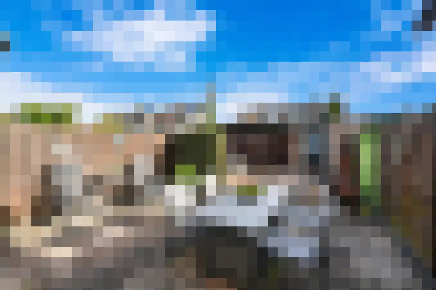 Goudmos 75 Nieuwerkerk aan den IJssel thumbnail 20
