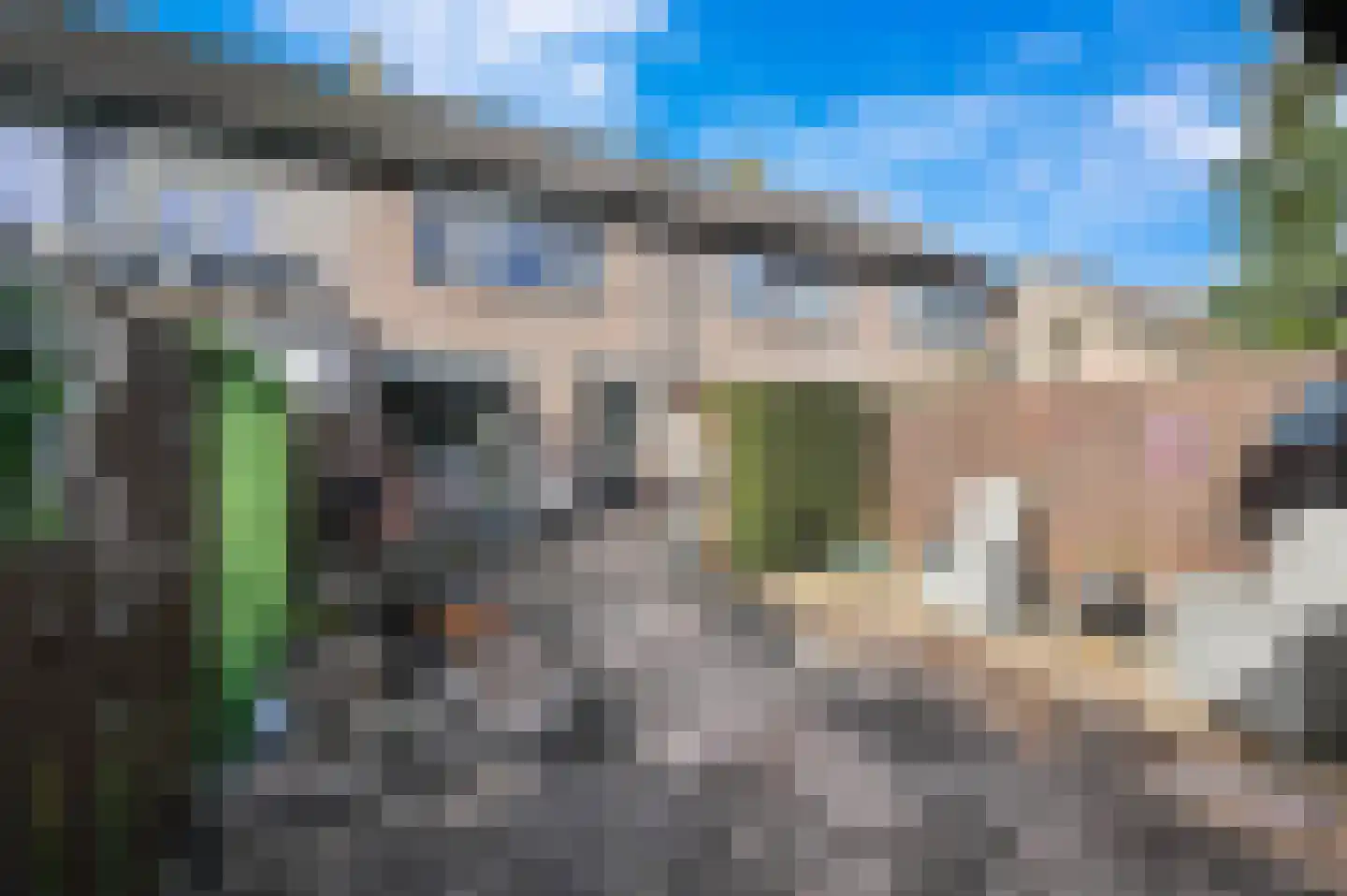 Goudmos 75 Nieuwerkerk aan den IJssel thumbnail 21