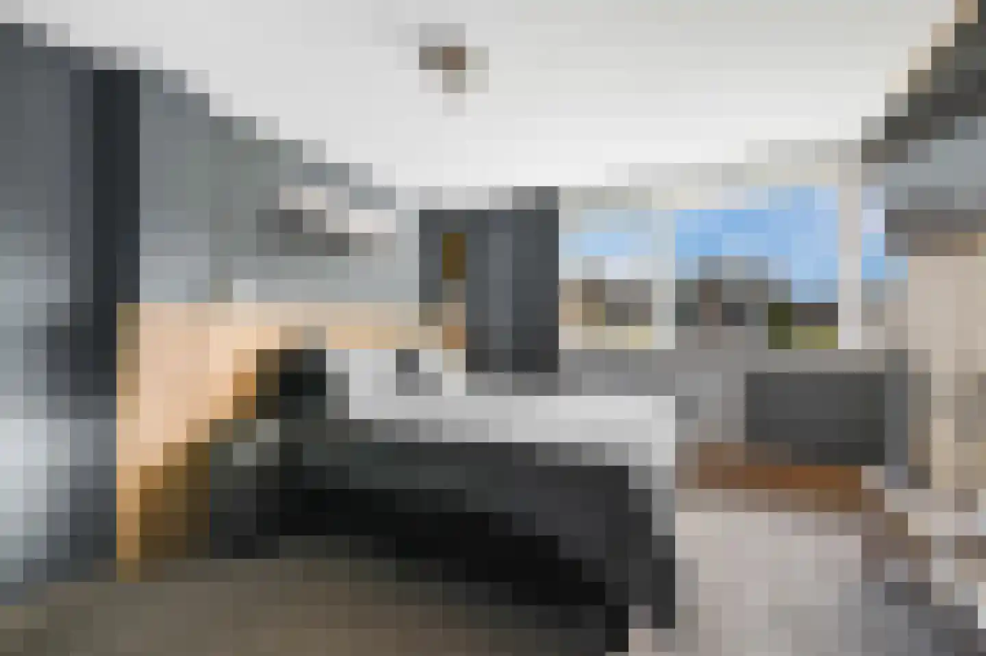 Goudmos 75 Nieuwerkerk aan den IJssel thumbnail 25