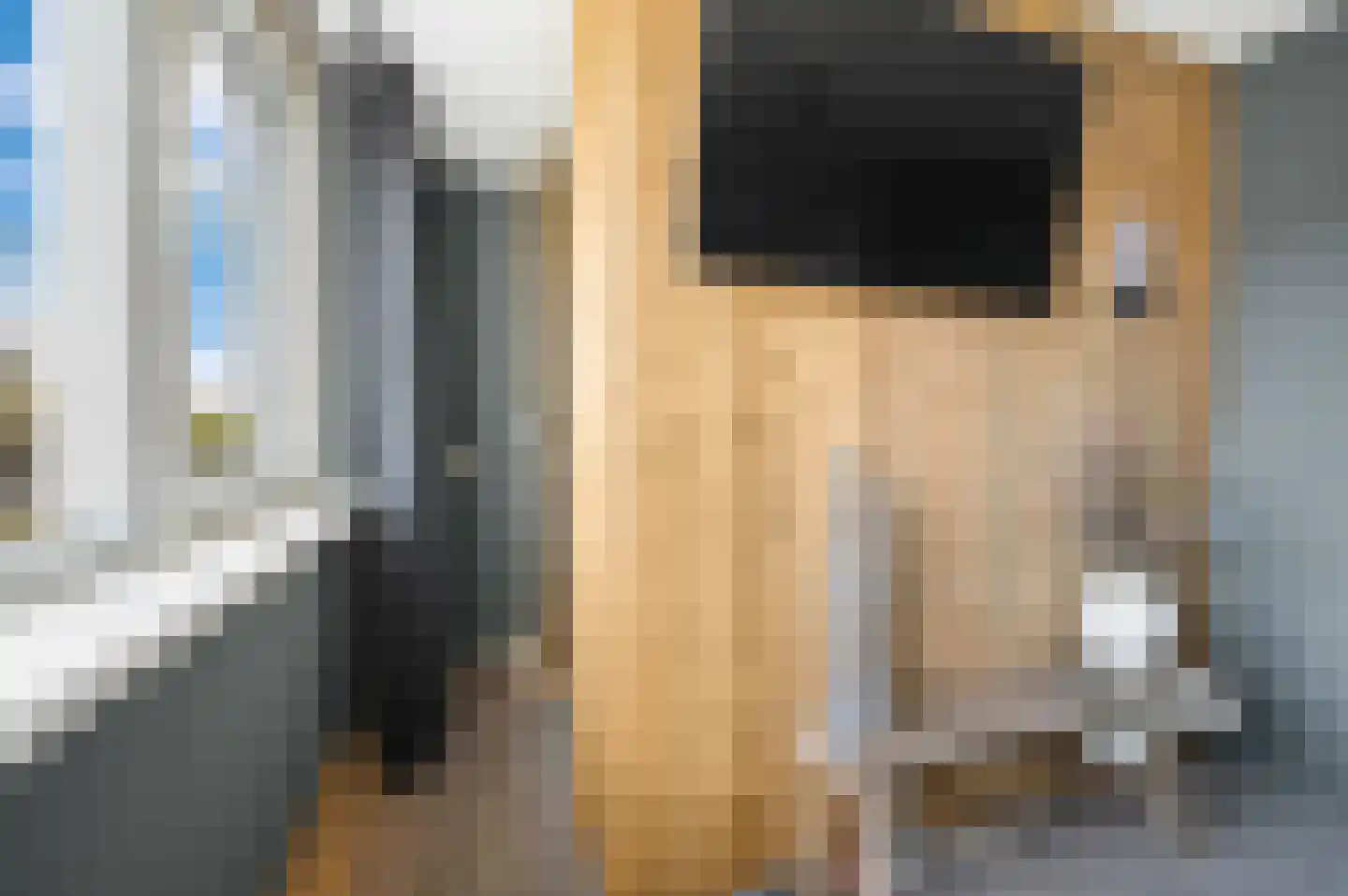 Goudmos 75 Nieuwerkerk aan den IJssel thumbnail 27