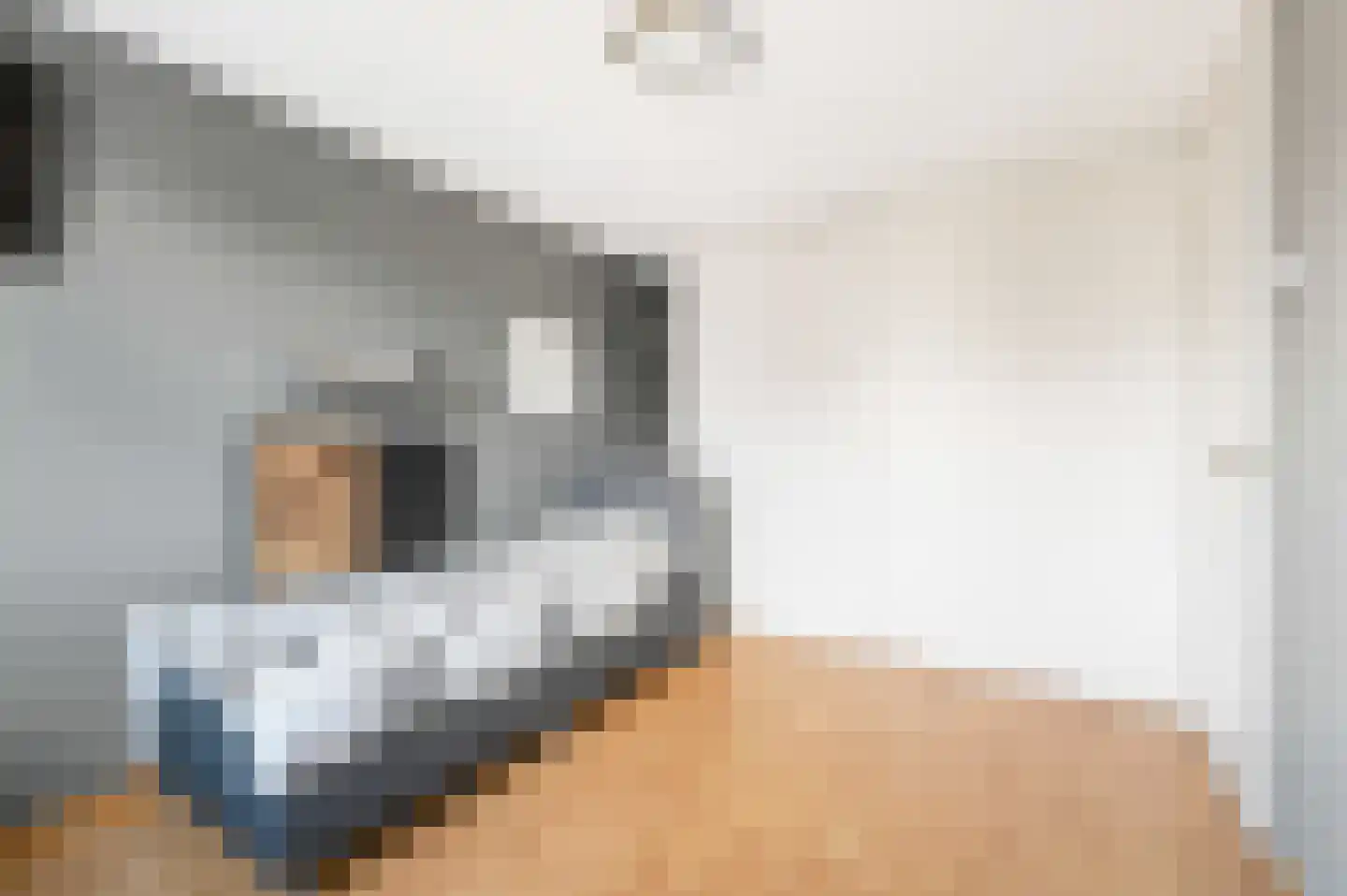 Goudmos 75 Nieuwerkerk aan den IJssel thumbnail 31
