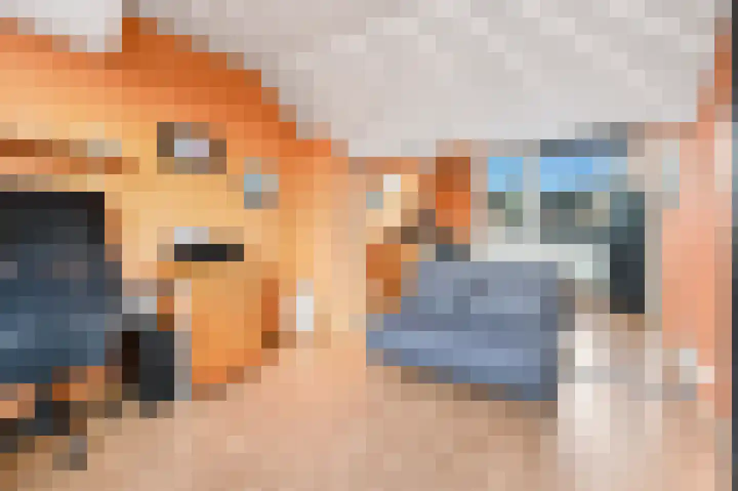 Goudmos 75 Nieuwerkerk aan den IJssel thumbnail 37