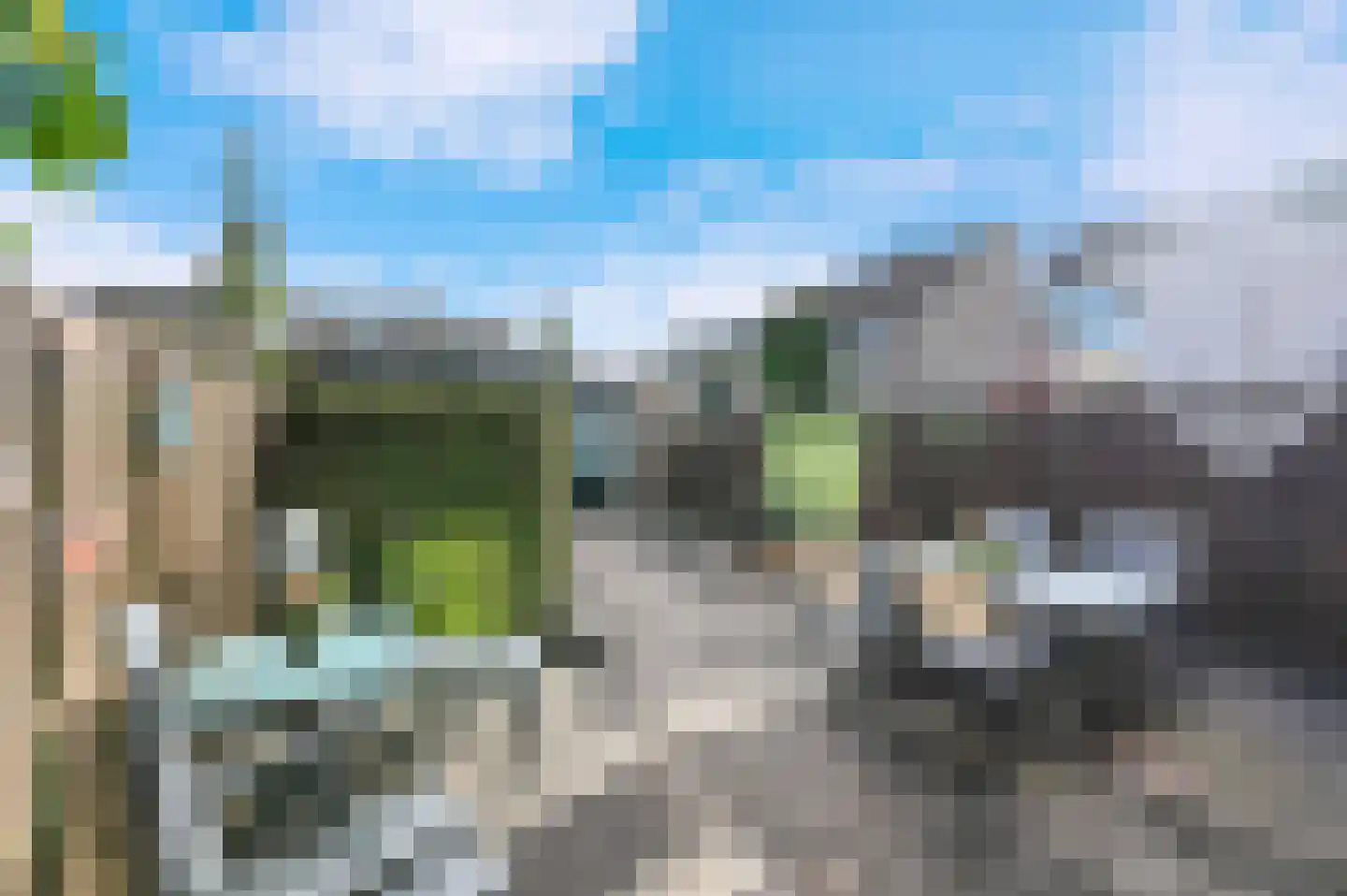 Goudmos 75 Nieuwerkerk aan den IJssel thumbnail 4