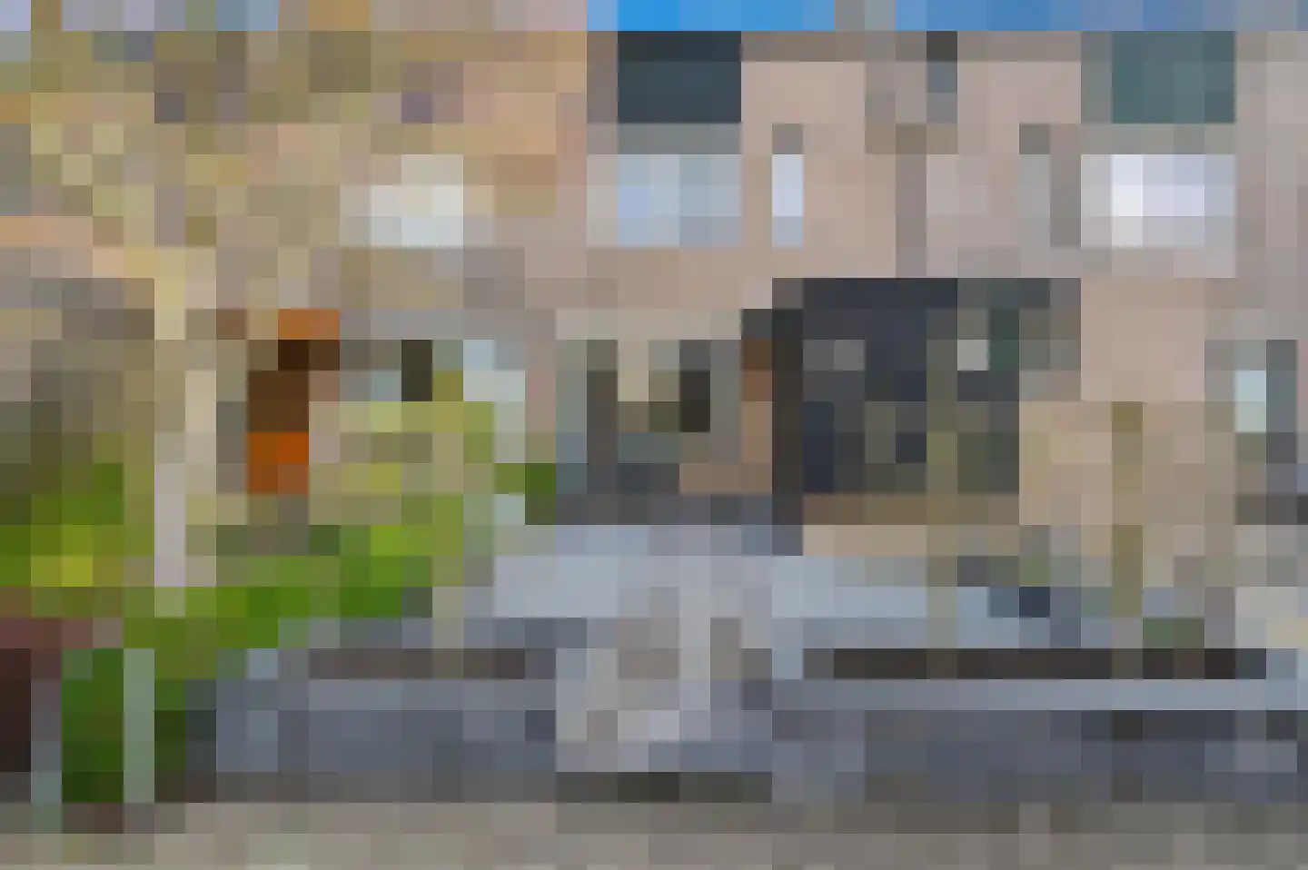 Goudmos 75 Nieuwerkerk aan den IJssel thumbnail 7