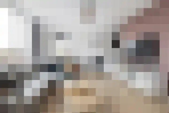 Goudmos 78 Nieuwerkerk aan den IJssel thumbnail 10