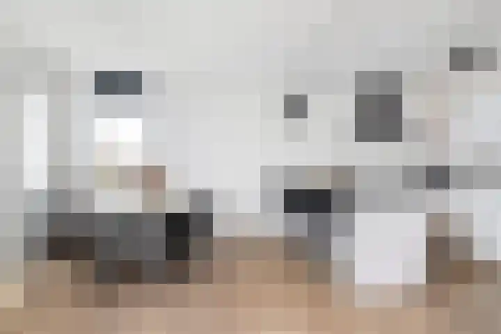 Goudmos 78 Nieuwerkerk aan den IJssel thumbnail 14
