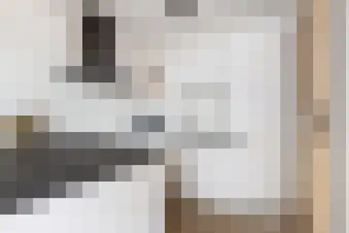 Goudmos 78 Nieuwerkerk aan den IJssel thumbnail 16