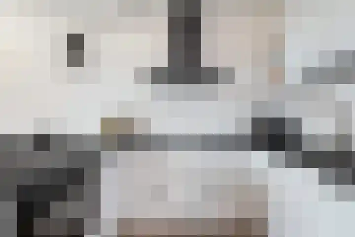 Goudmos 78 Nieuwerkerk aan den IJssel thumbnail 17