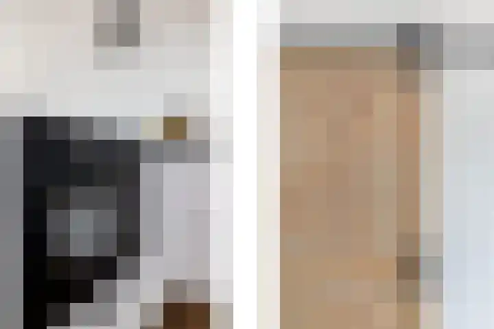 Goudmos 78 Nieuwerkerk aan den IJssel thumbnail 18