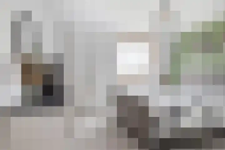 Goudmos 78 Nieuwerkerk aan den IJssel thumbnail 19