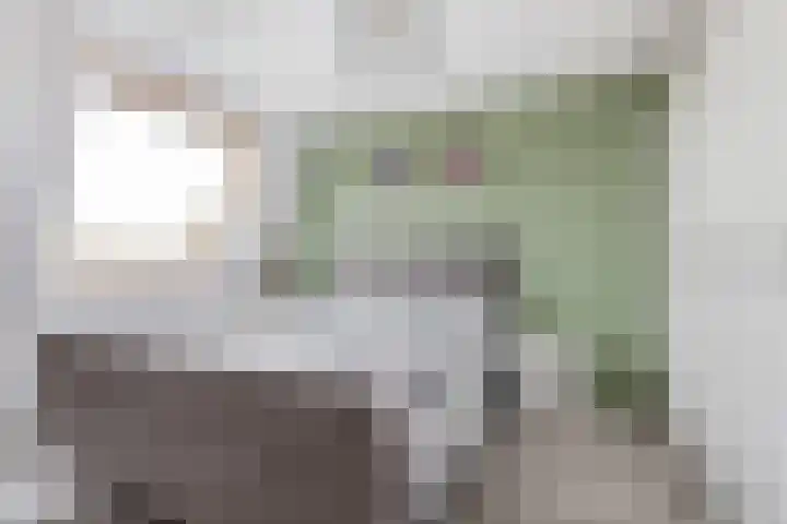 Goudmos 78 Nieuwerkerk aan den IJssel thumbnail 20