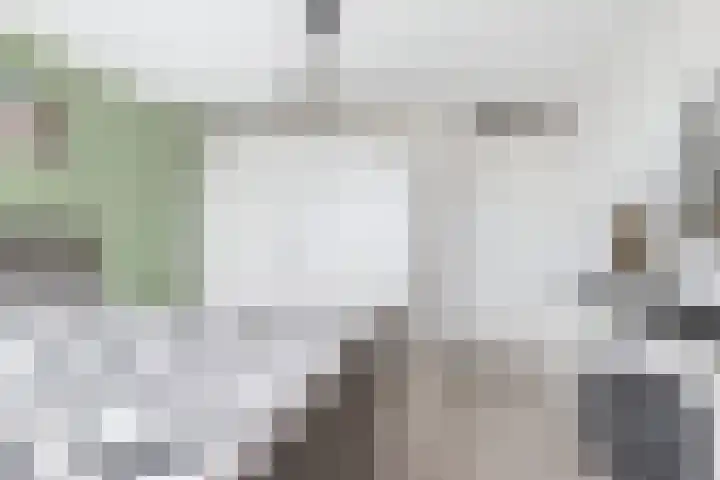 Goudmos 78 Nieuwerkerk aan den IJssel thumbnail 22