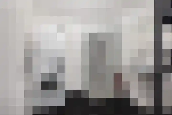 Goudmos 78 Nieuwerkerk aan den IJssel thumbnail 25