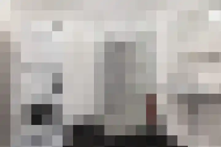 Goudmos 78 Nieuwerkerk aan den IJssel thumbnail 26