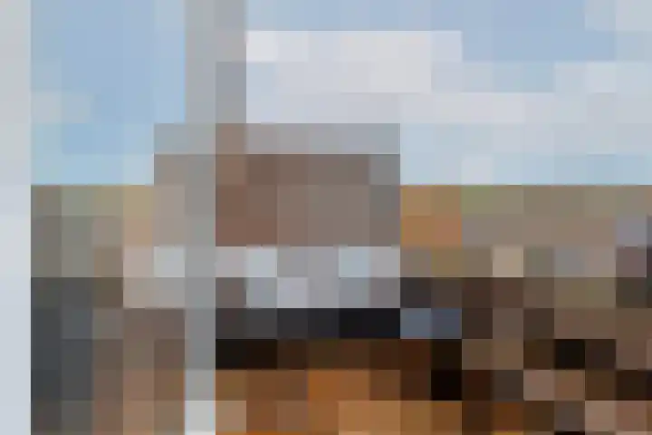 Goudmos 78 Nieuwerkerk aan den IJssel thumbnail 27