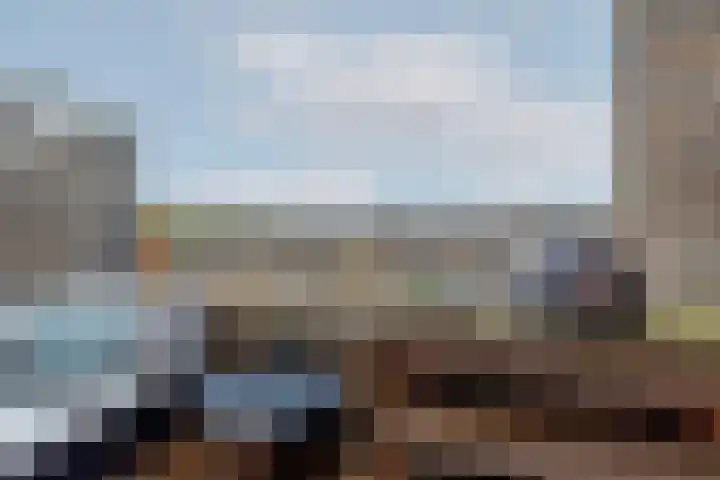 Goudmos 78 Nieuwerkerk aan den IJssel thumbnail 28