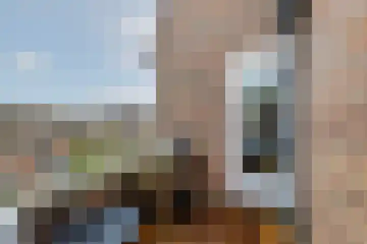 Goudmos 78 Nieuwerkerk aan den IJssel thumbnail 29