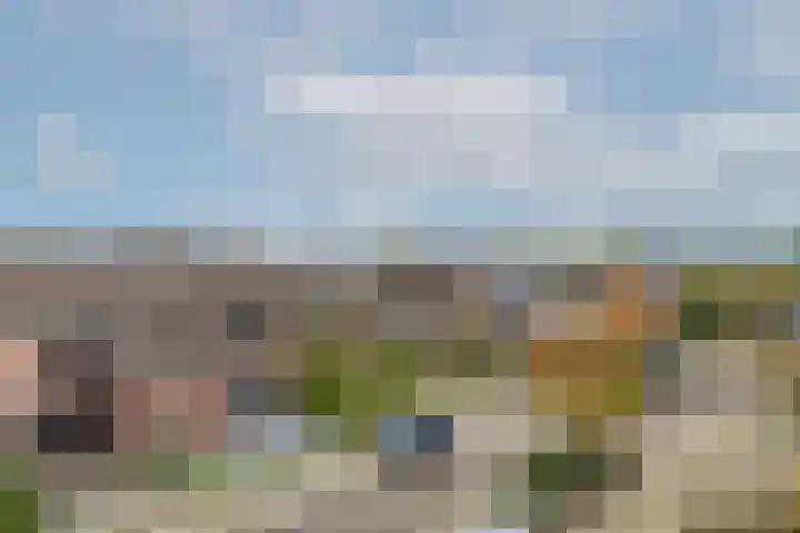 Goudmos 78 Nieuwerkerk aan den IJssel thumbnail 30