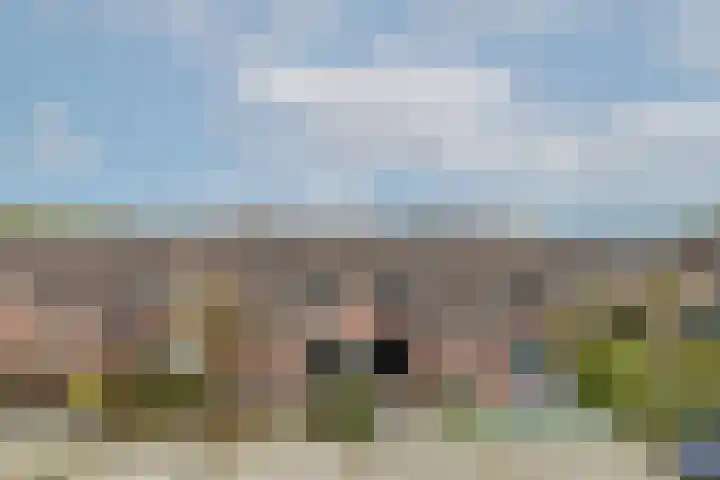 Goudmos 78 Nieuwerkerk aan den IJssel thumbnail 31