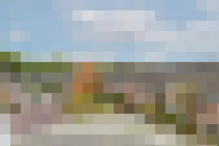 Goudmos 78 Nieuwerkerk aan den IJssel thumbnail 32