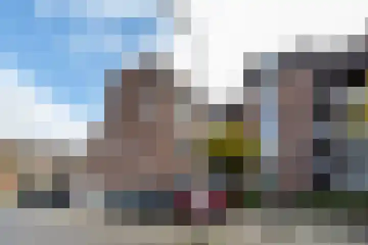 Goudmos 78 Nieuwerkerk aan den IJssel thumbnail 33