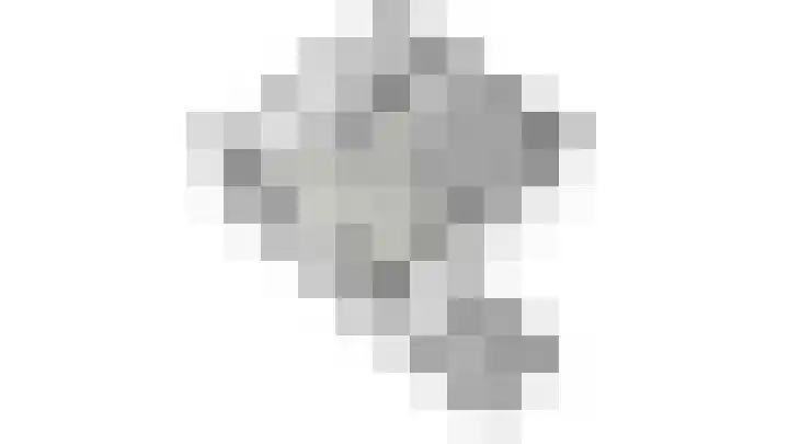 Goudmos 78 Nieuwerkerk aan den IJssel thumbnail 35