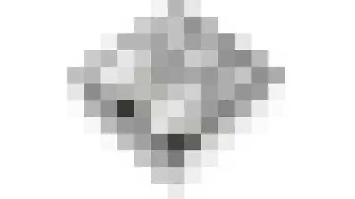 Goudmos 78 Nieuwerkerk aan den IJssel thumbnail 37