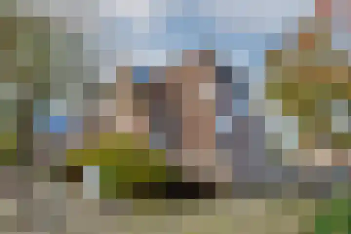 Goudmos 78 Nieuwerkerk aan den IJssel thumbnail 5