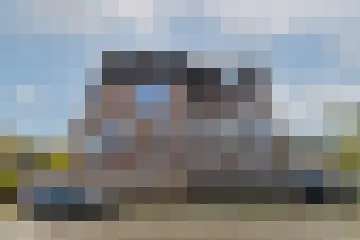 Goudmos 78 Nieuwerkerk aan den IJssel thumbnail 6